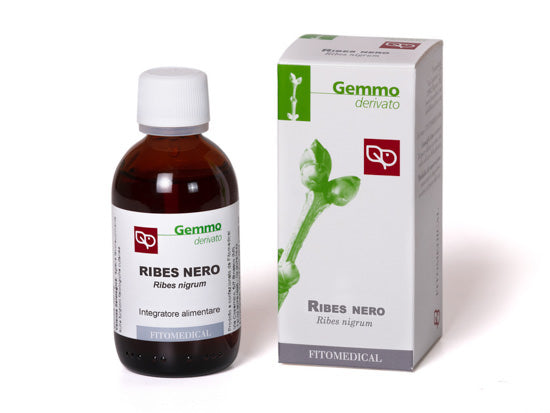 Gemmoderivato Ribes Nero 50 ml Fitomedical