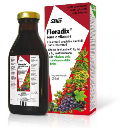 Ferro Floradix 250 ml Salus
